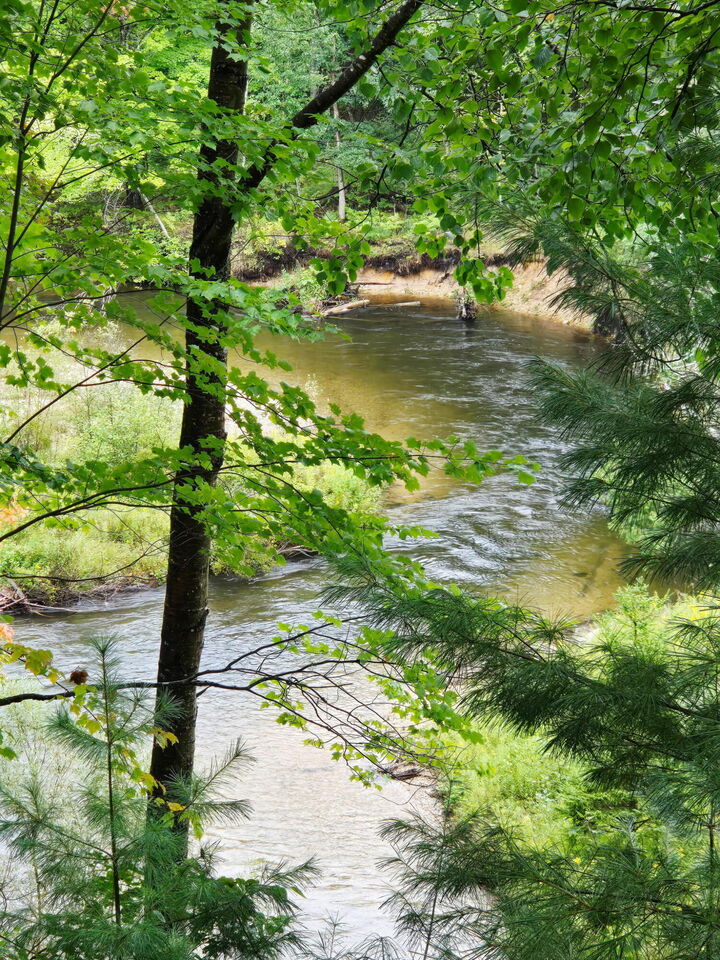 Property Photo:  7693 S Straits Highway  MI 49749 