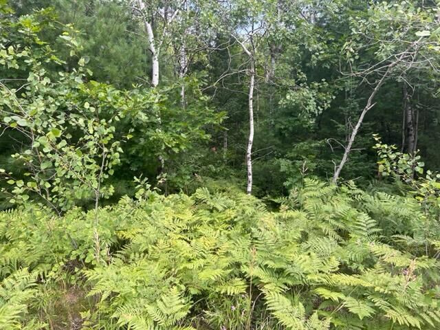 Property Photo: 10801 S Old US Hwy 27 MI 49733