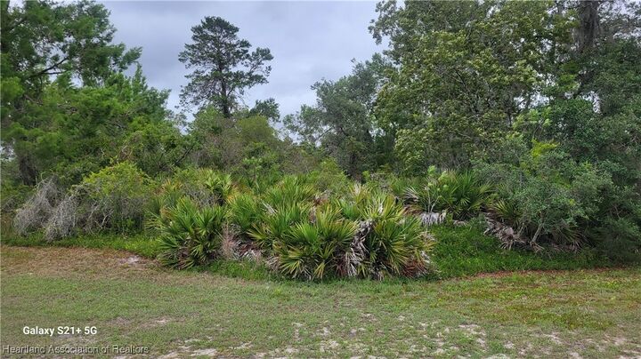 Property Photo: 3217 Savannah Sparrow Avenue FL 33852