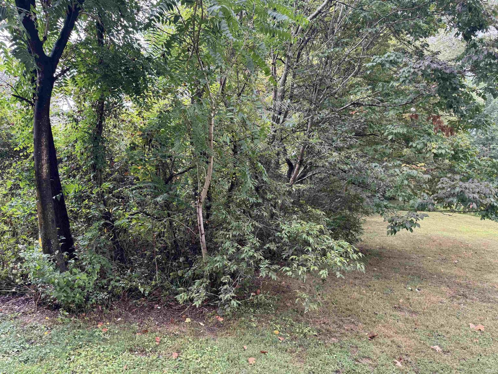 Property Photo:  0 Baker Road  IN 47601 