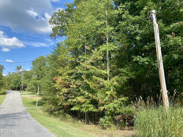 Property Photo:  92 Hanning Drive  TN 38558 