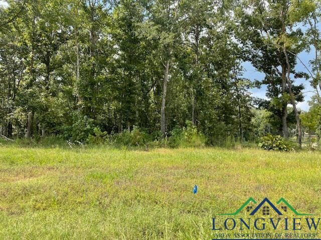 Property Photo: Tbd Briar Ridge Trail Lot 1, Blk 3 TX 75602