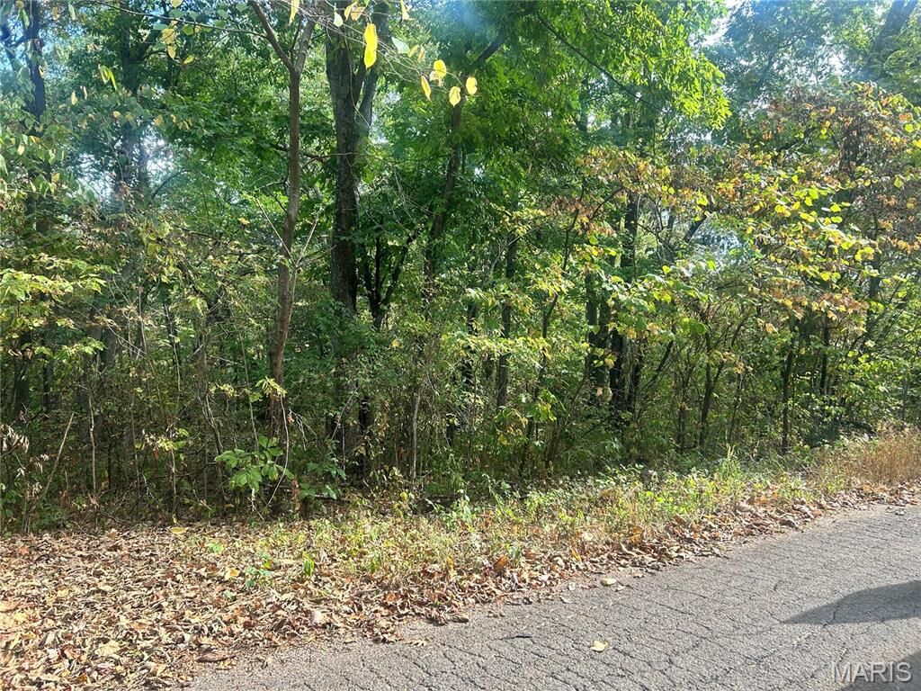 Property Photo:  0 Bell St.  MO 63664 
