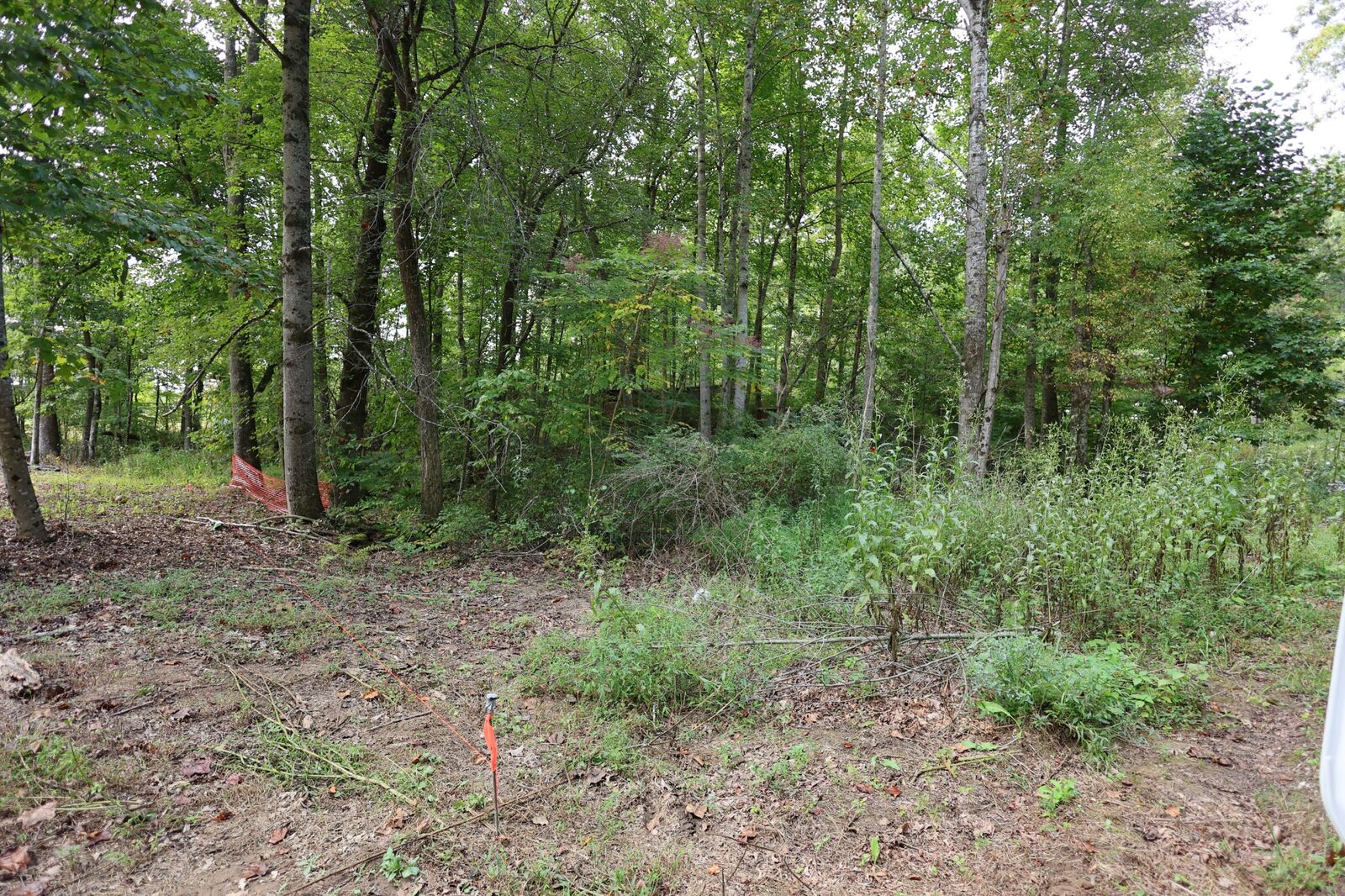 Property Photo:  245 Woolf Pass Ln  TN 38583 