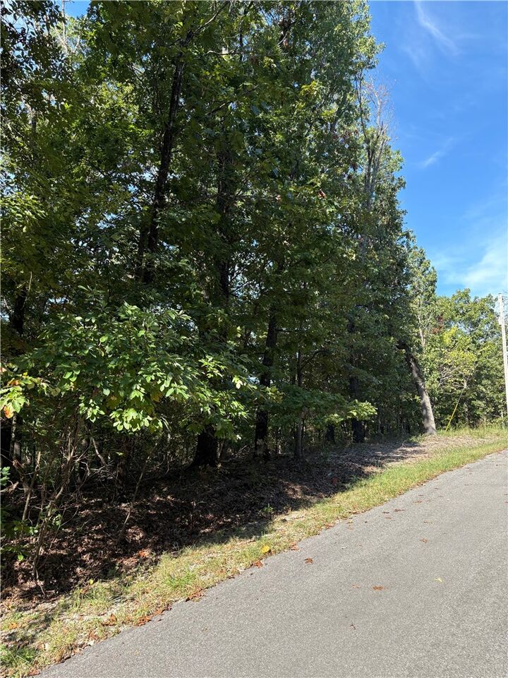 Property Photo:  Hollis Circle  AR 72715 