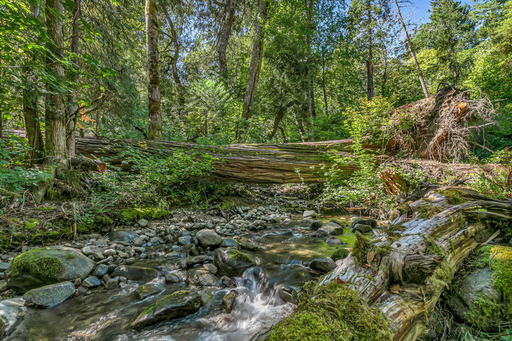 3496 East Fork Road  Williams OR 97544 photo