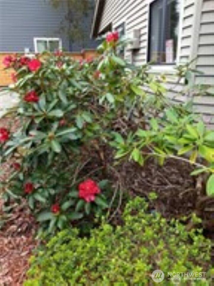 Property Photo:  285 SE Croston Lane A  WA 98027 