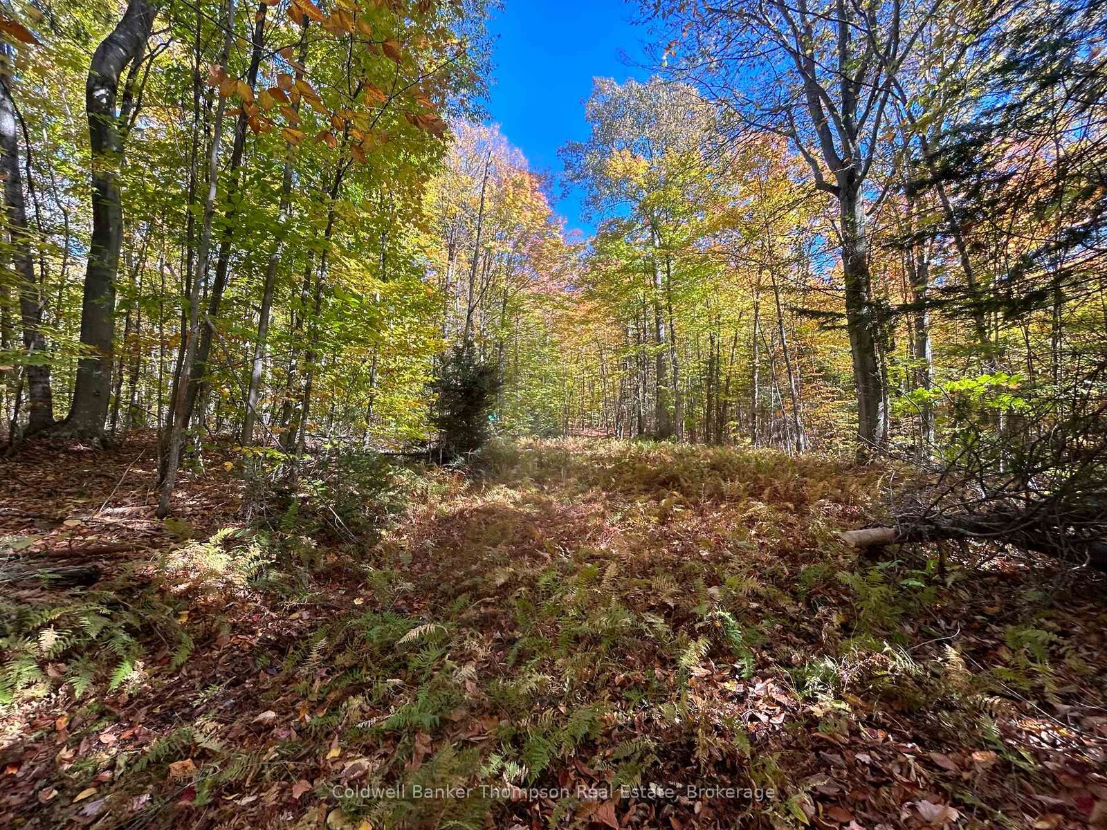 Property Photo:  833 Hamilton Lake Road  ON P0A 1X0 