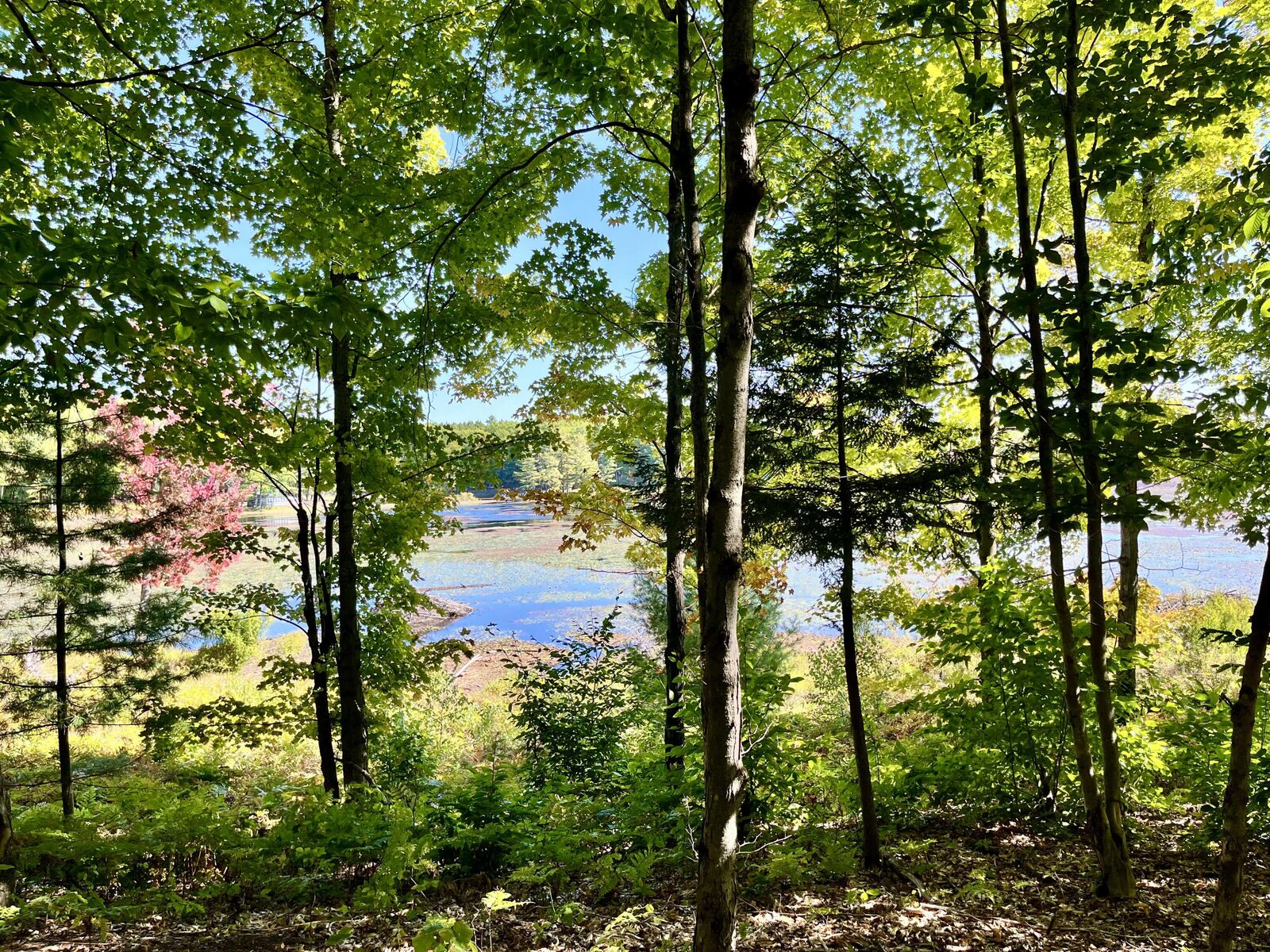 Property Photo:  0 Green Pond Lane  NY 13625 