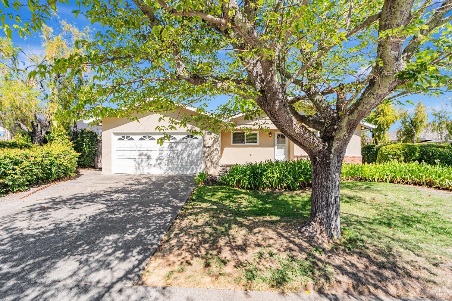 Property Photo:  88 Wallace Way  CA 94903 