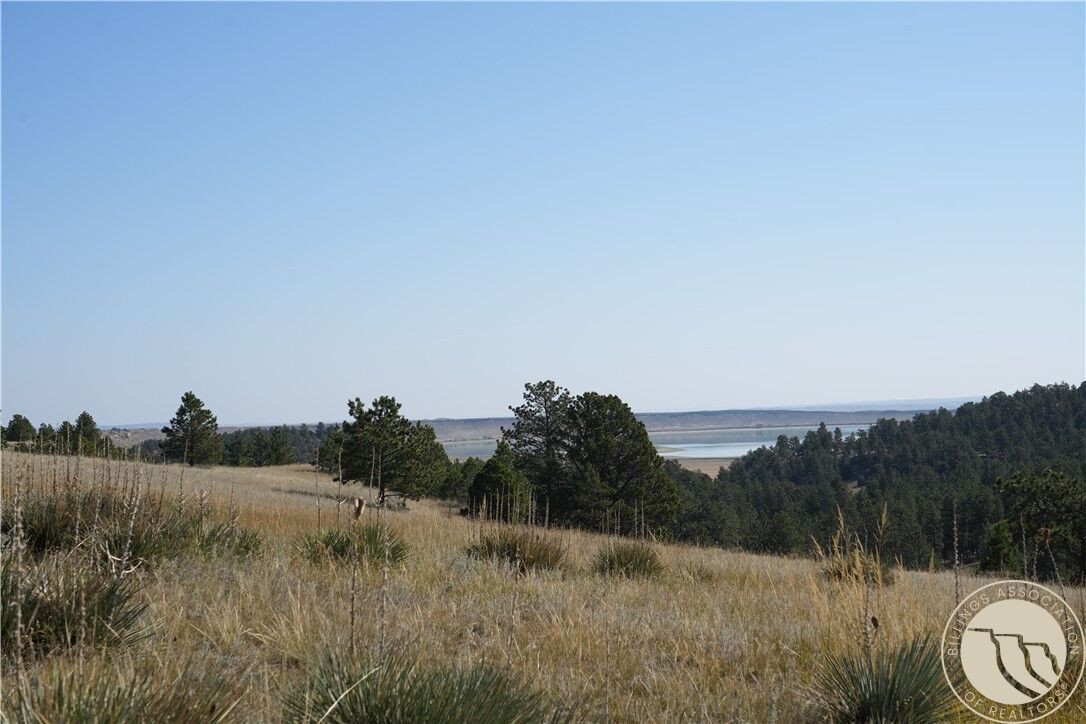 Property Photo:  Tract 45 Canyon Dr.  MT 59078 