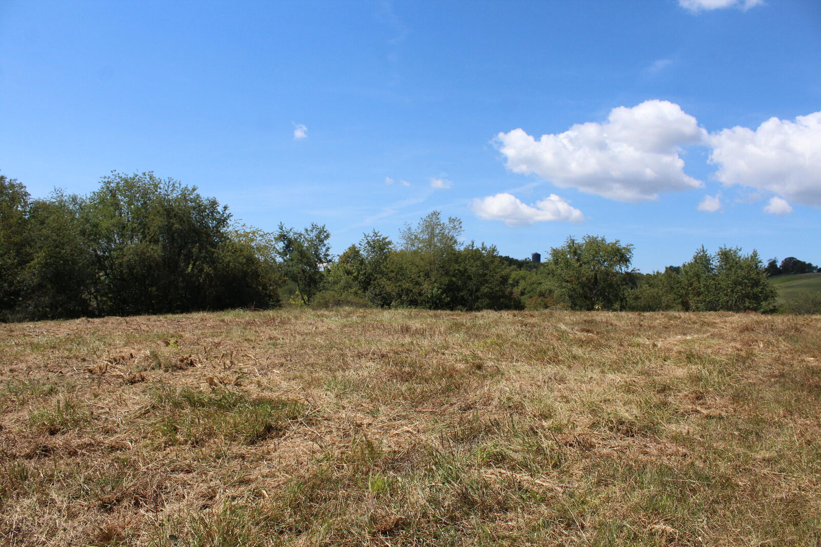 Property Photo:  3797 Sweet Springs Valley Rd  WV 24983 