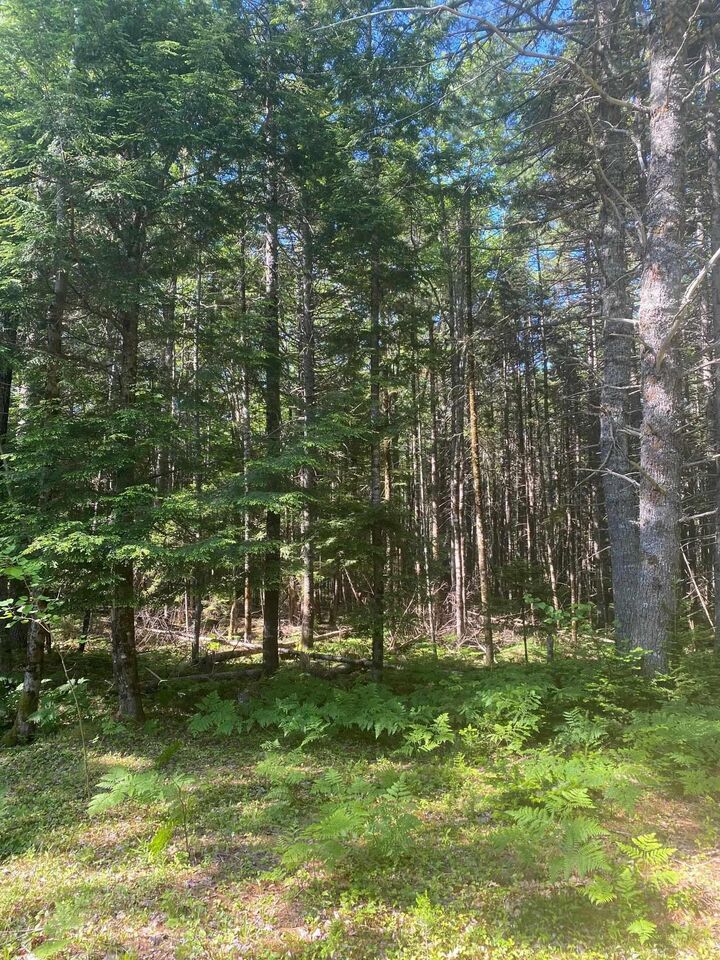 Lot (Pid 60493061) Huey Lake Road — photo 1