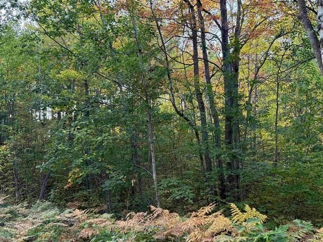 Property Photo: 000 Old Hwy 2 WI 54847