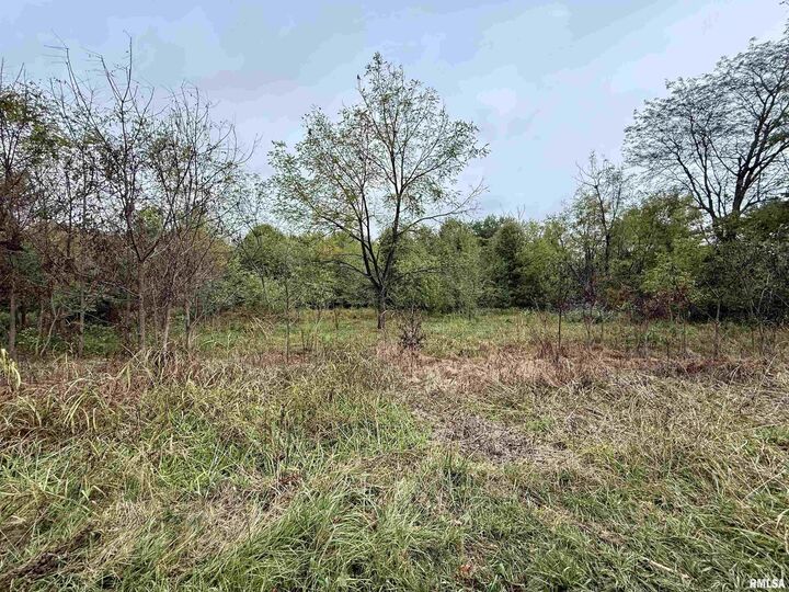 Tbd Brock Lane  Murphysboro IL 62966 photo