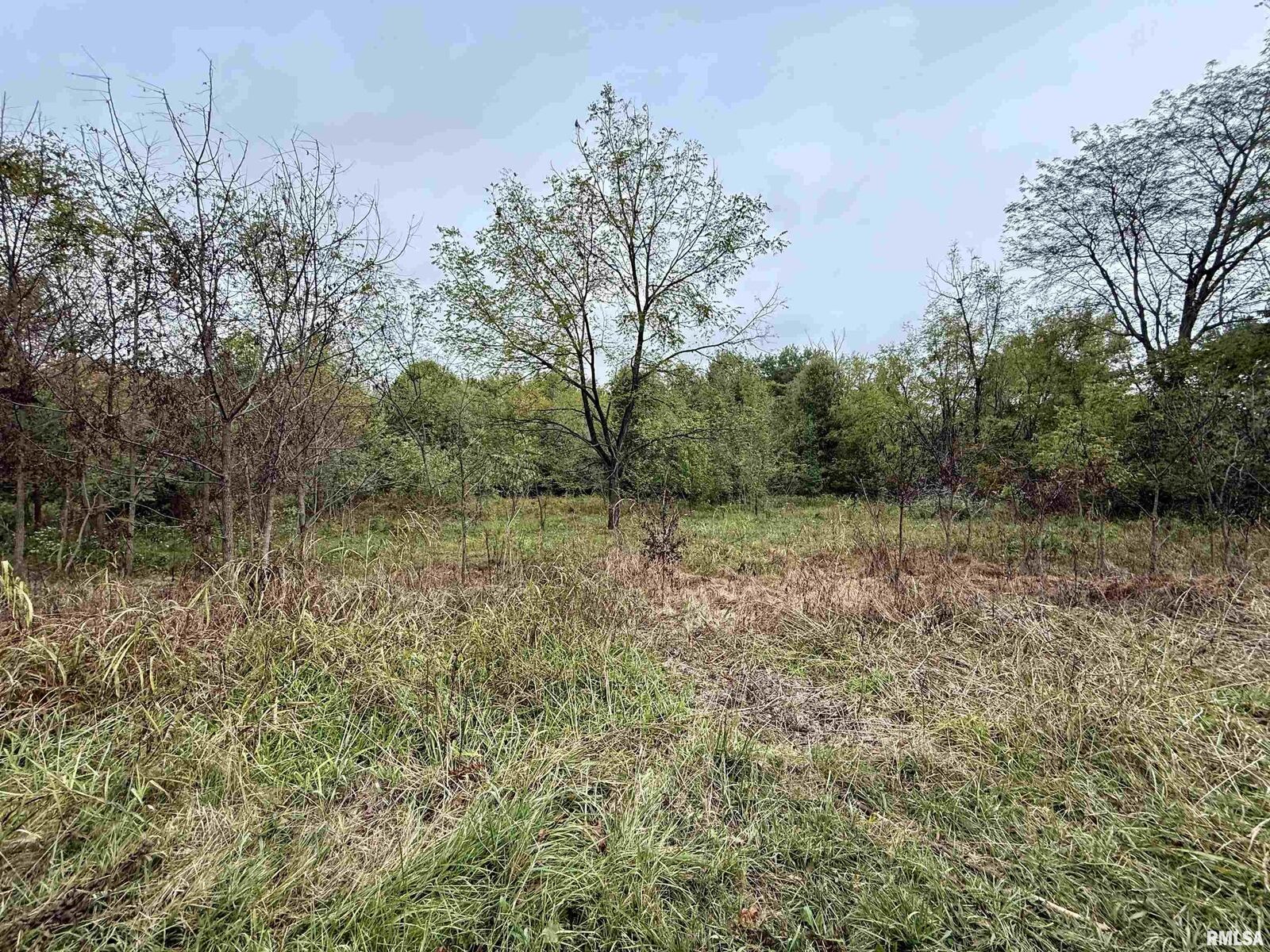 Property Photo:  Tbd Brock Lane  IL 62966 