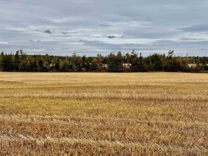 Property Photo:  Acreage Brackley Point Road - 49 Acres  PE C1E 2N9 