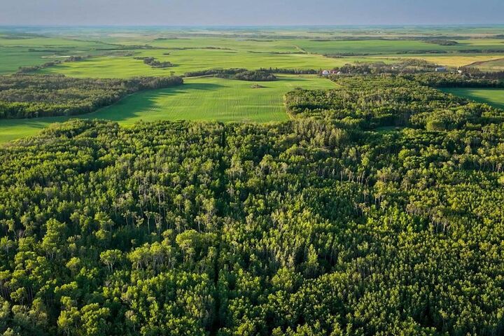 9-43-18-W4  Rural Camrose County AB T0B 1H0 photo