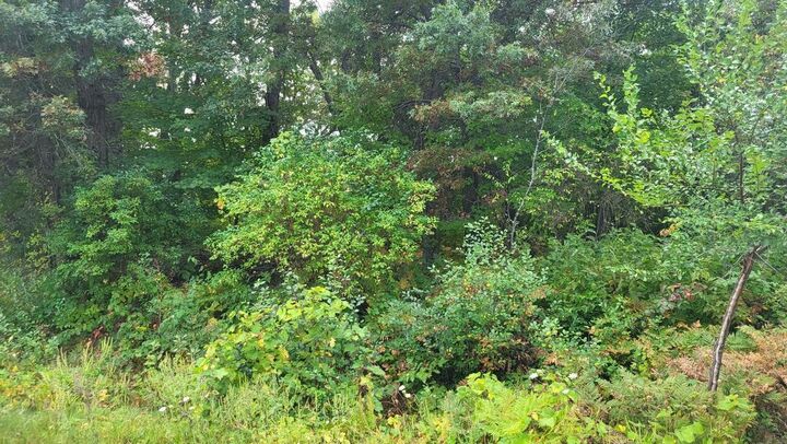 Property Photo:  Lot 31 Tara Drive  WI 54660 
