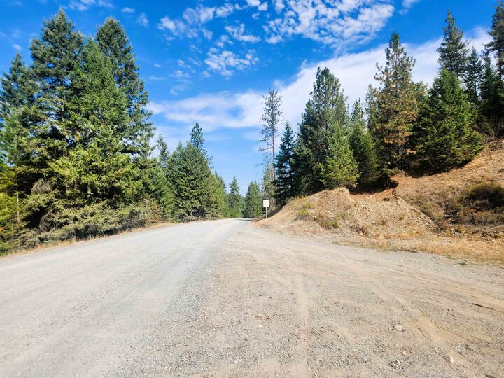 Property Photo:  Tbd Bossburg Rd  WA 99126