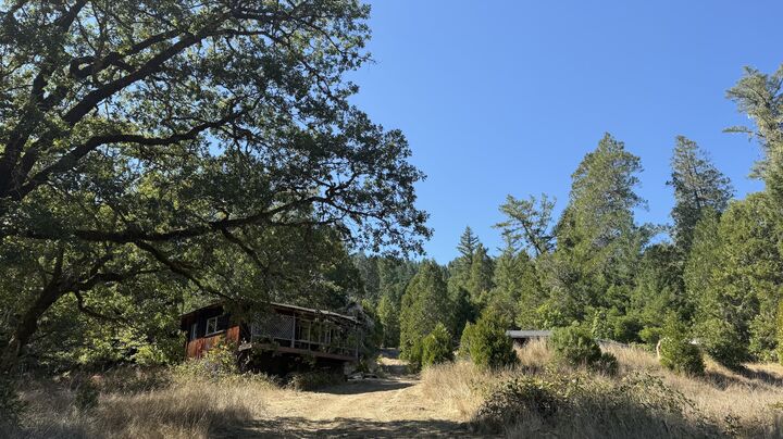 7415 Salmon Creek Road  Garberville CA 95542 photo