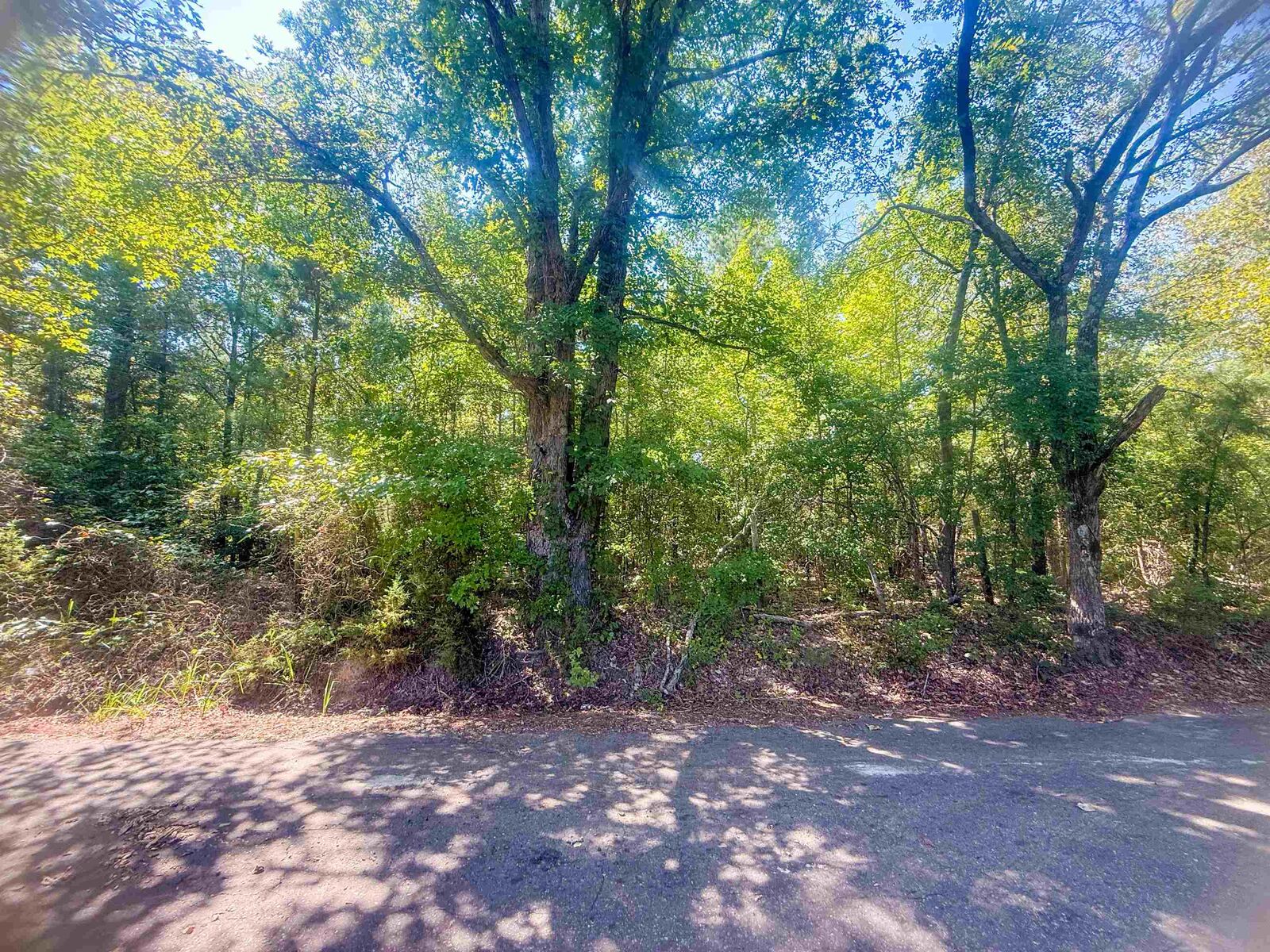 Property Photo:  Tbd Jonquil Rd  TX 75645 