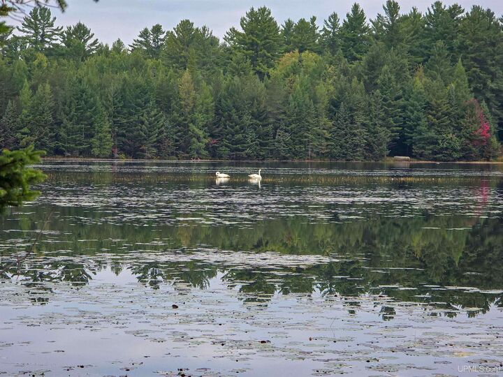 Property Photo:  Tbd Leatherleaf Lane  MI 49855 