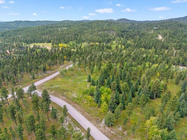 Property Photo: Lot 4 Lofty Pines Road SD 57754