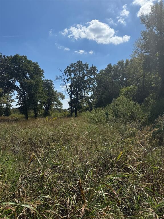 Property Photo: 12227 Garden Grove Drive TX 75253