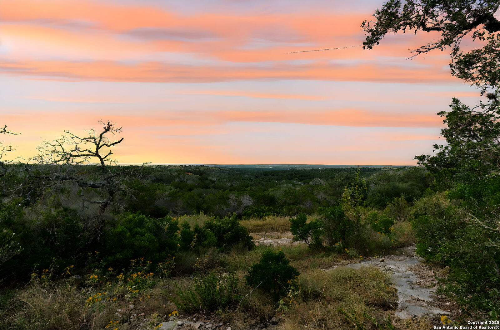 Property Photo:  676 County Road 243  TX 78861 