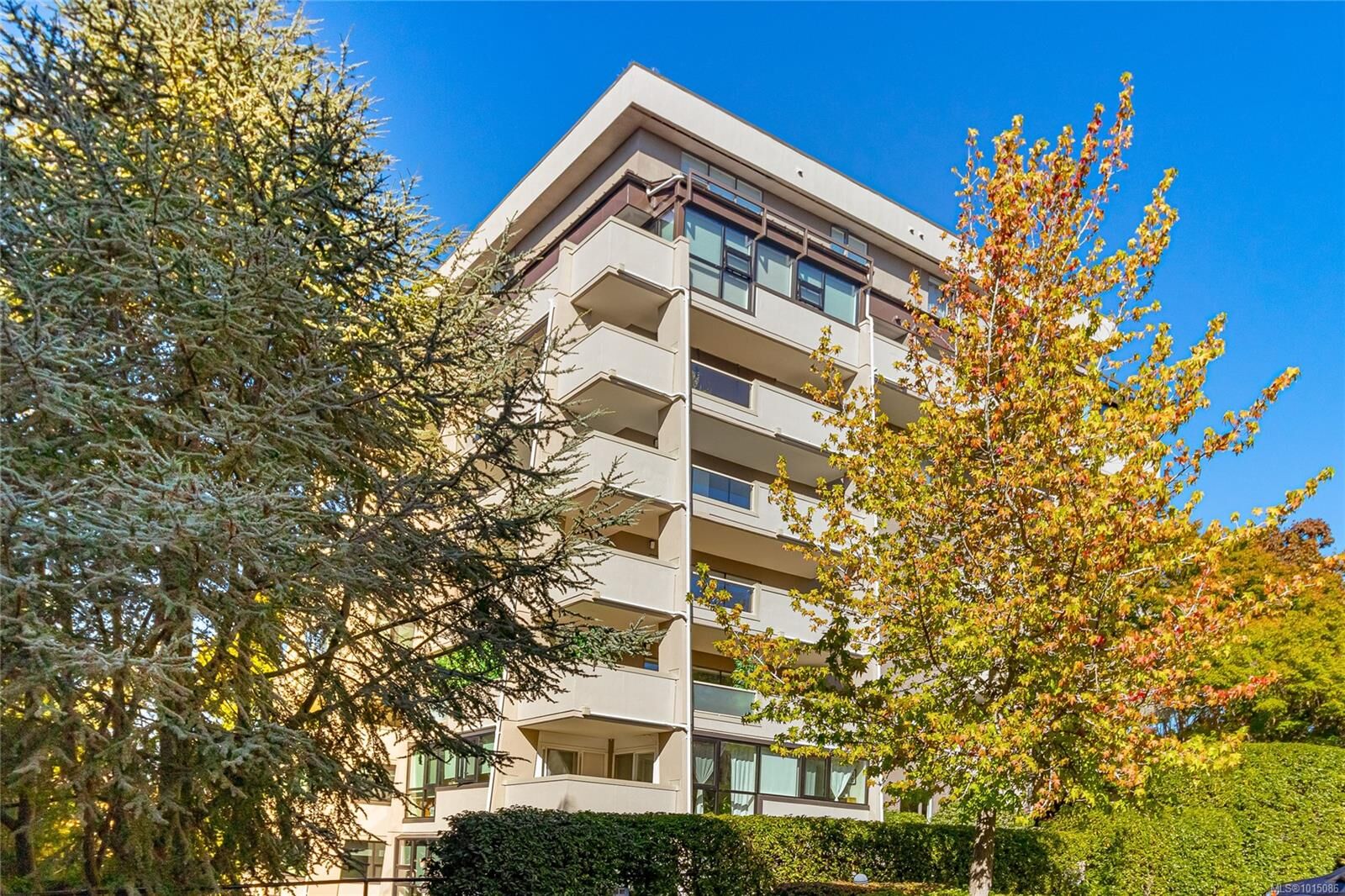Property Photo:  819 Burdett Ave 501  BC V8W 1B3 