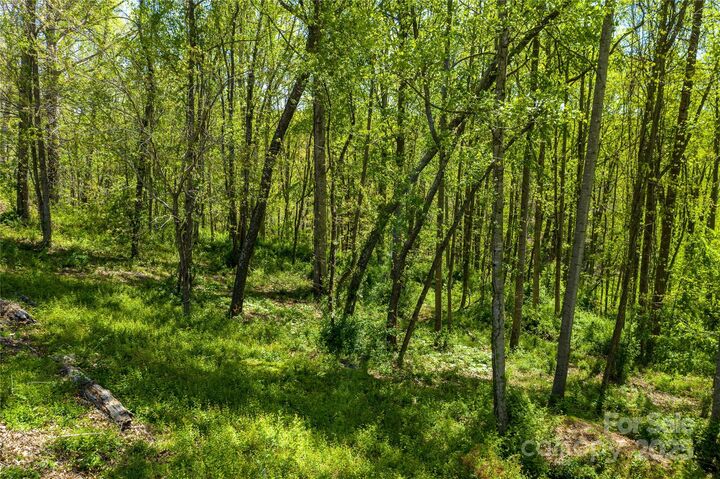 Property Photo:  9999 Bee Balm Way 55  NC 28804 