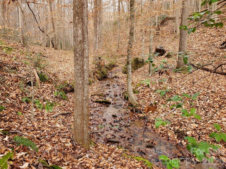 Property Photo: 366 Boland Drive NC 28746