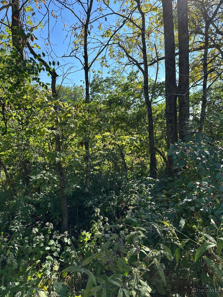 Property Photo:  0 Liberty Keuter Road  OH 45036 