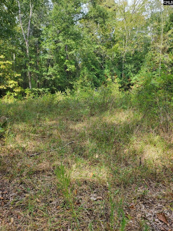 Property Photo:  137 White Rock Acres  SC 29036 