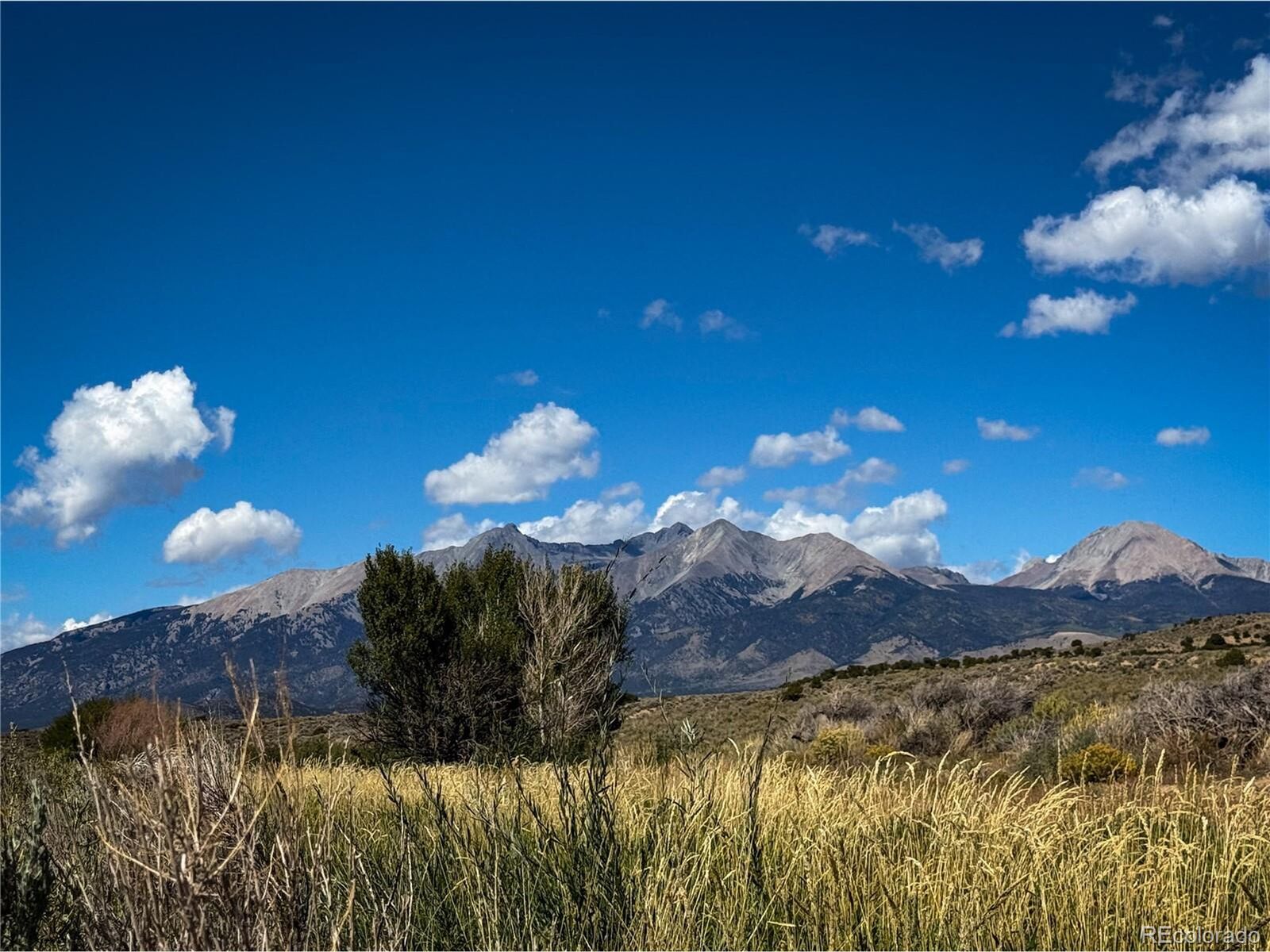 Property Photo:  0 Herbert Rd  CO 81133 