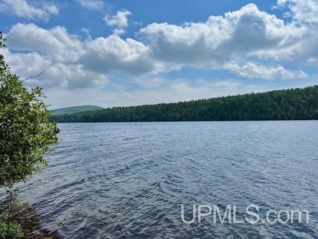 Property Photo:  Tbd US 41 Highway  MI 49918 