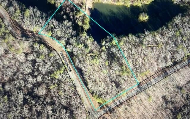 Property Photo: Lt 50 White Pine Ridge GA 30540