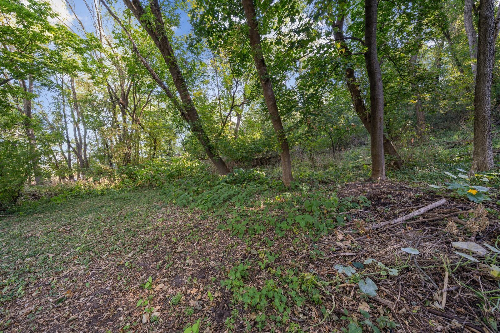 Property Photo:  Tbd Lot 1 11th St  WI 54016 