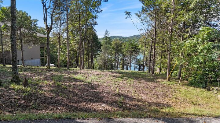 Property Photo:  White River Cove  AR 72631 