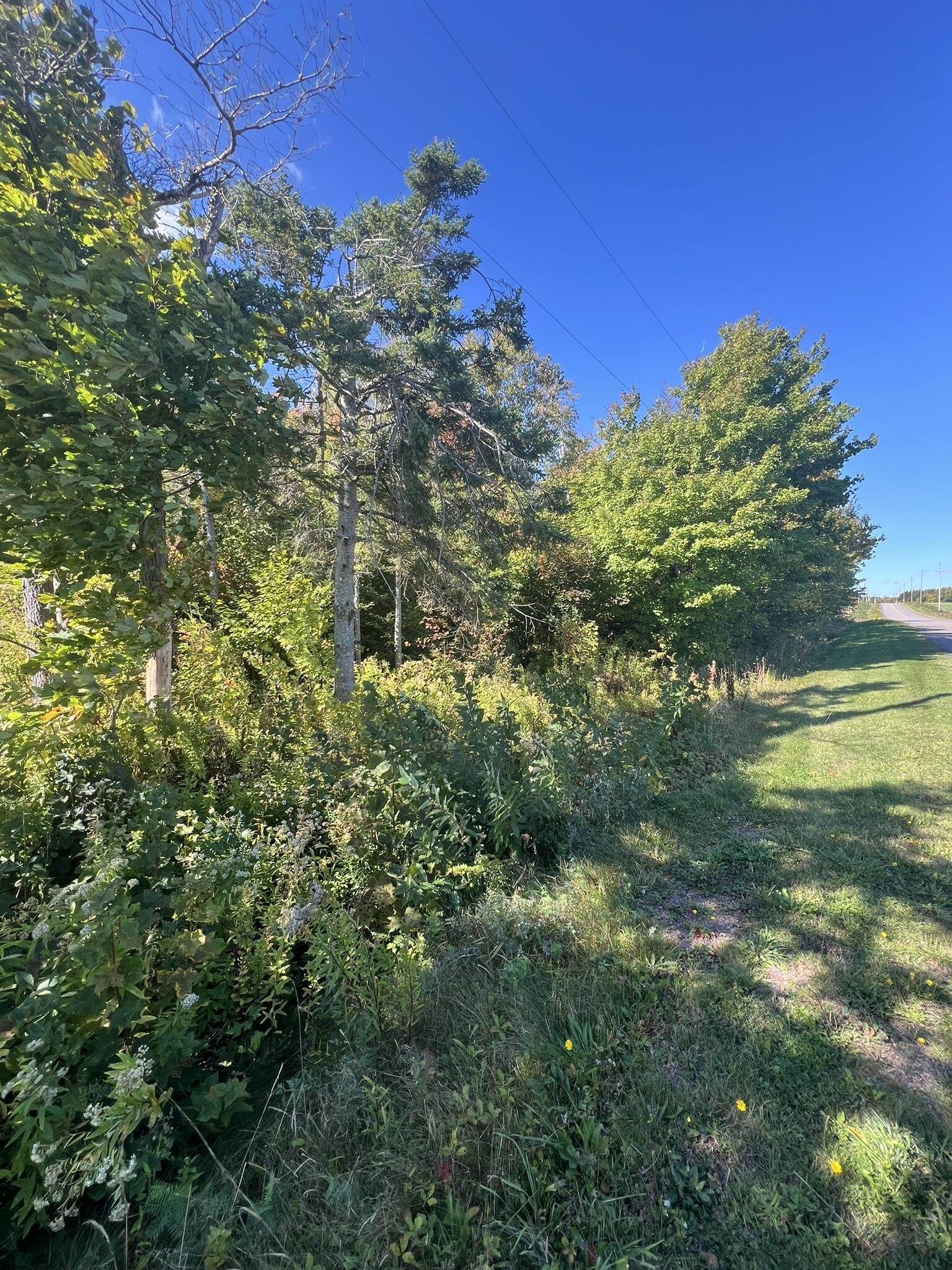 Property Photo:  Lot 1479 North Royalty Road  PE C0A 1L0 