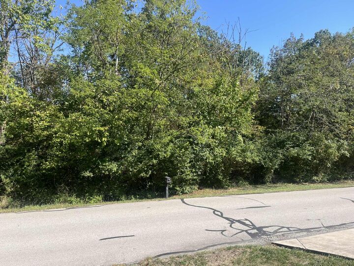 Property Photo:  0 Matterhorn Drive  IN 47025 