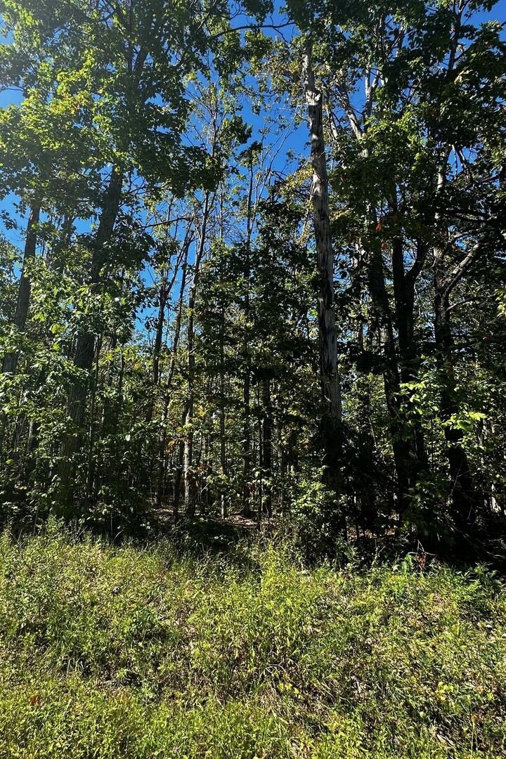 Lot 40 Lake Club Drive W  Gaylord MI 49735 photo
