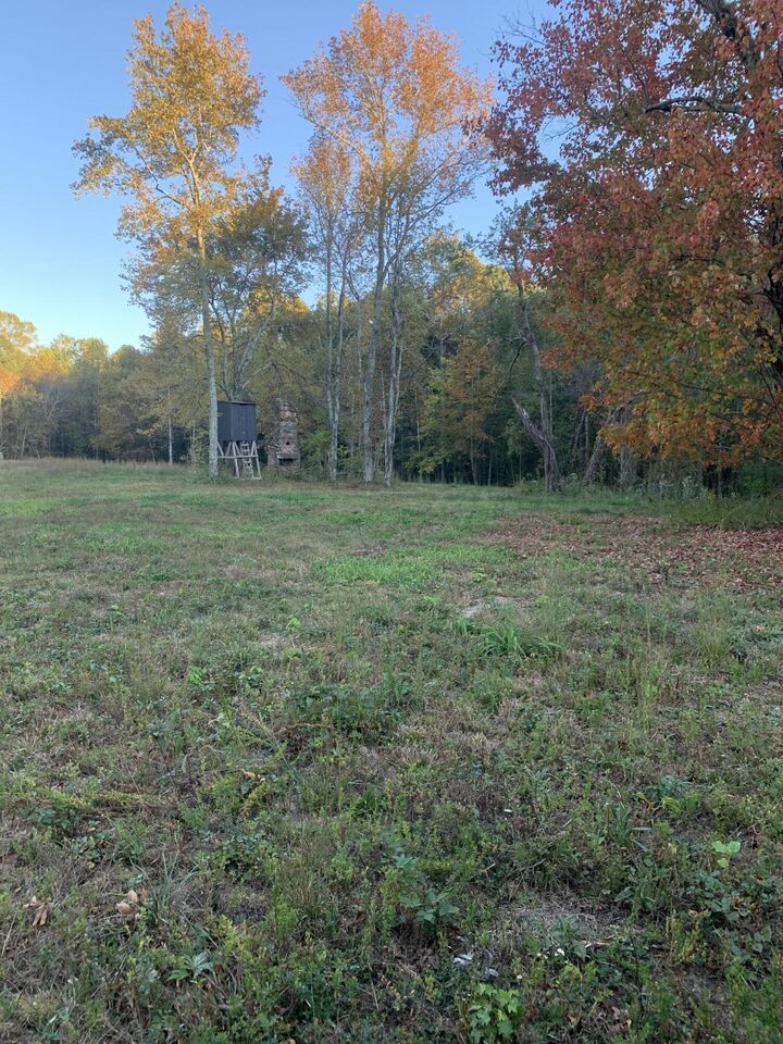 Property Photo: 7.72 Ac 660 County Road 724 AL 35958