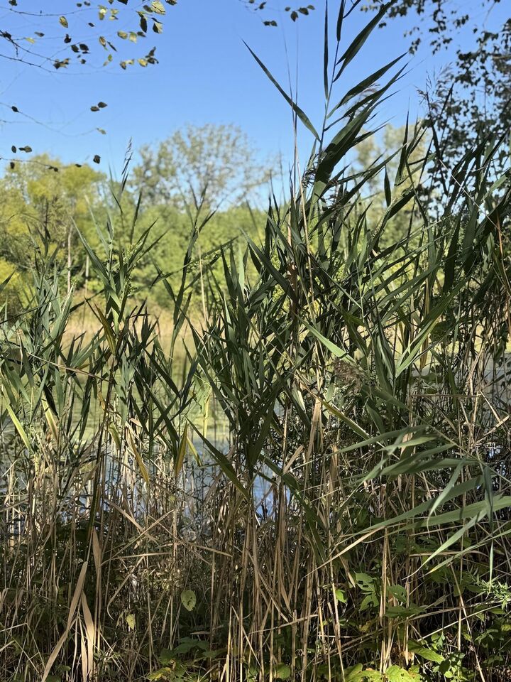 Property Photo: 3152 Heavilin Road IN 46385