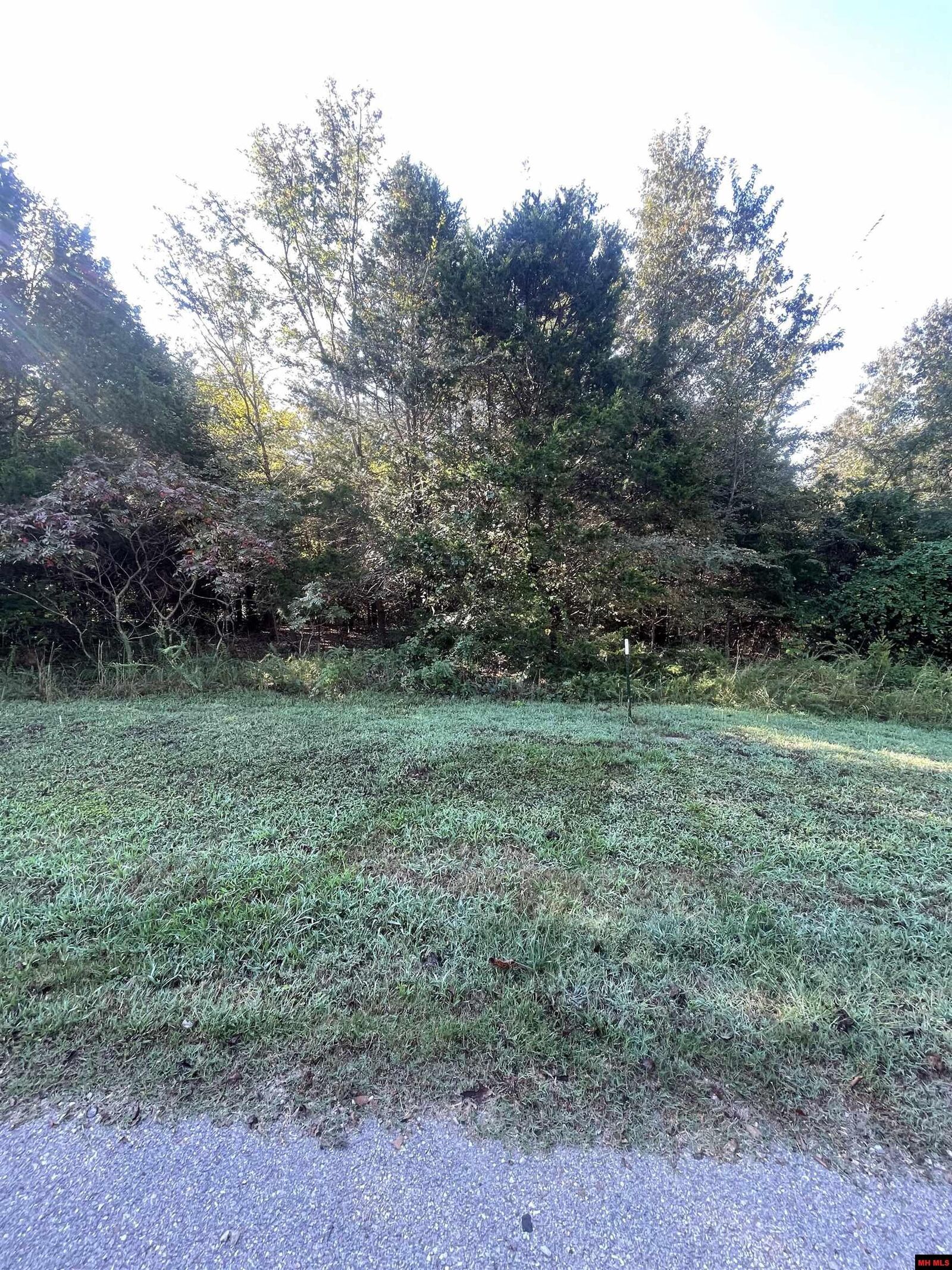 Property Photo:  760-19581-000 Sandot Drive  AR 72619 