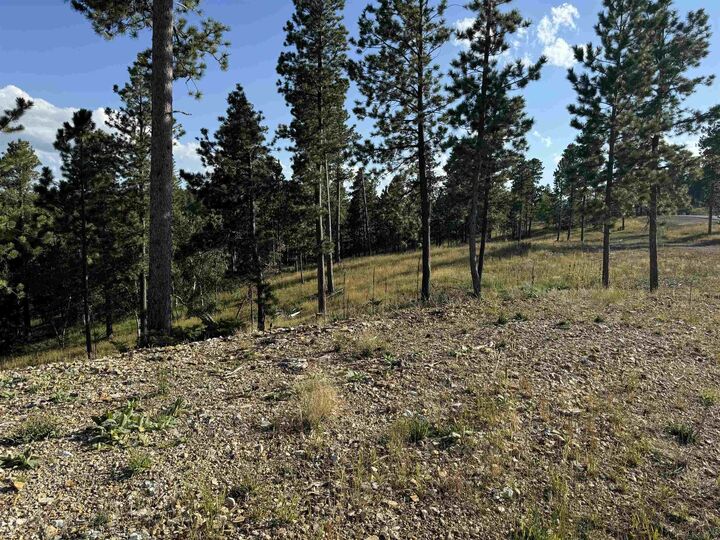 Property Photo: Lot 21 Overlook Court SD 57754