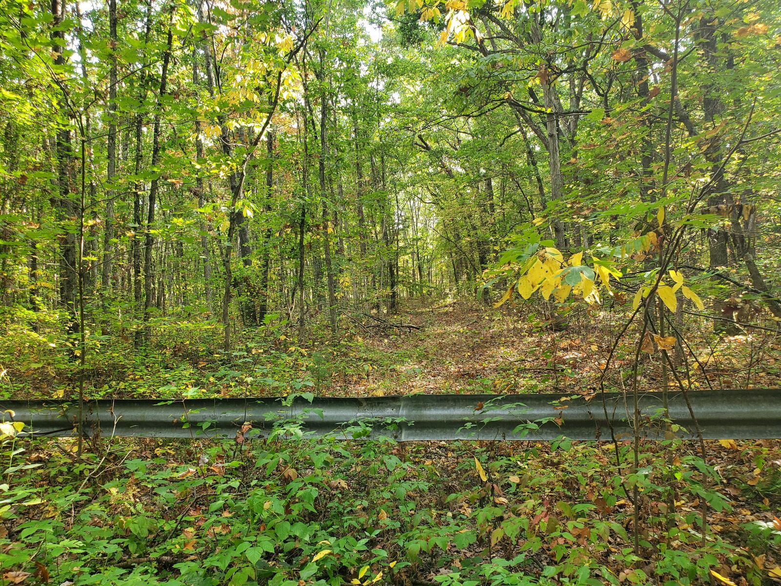 Property Photo: 113th MI 49010