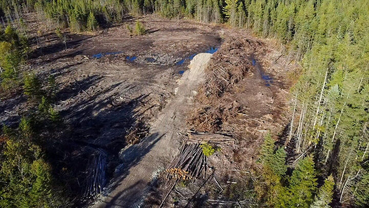 Property Photo: Map 06 Lots #16,16-2,16-3 Cutler Road ME 04626