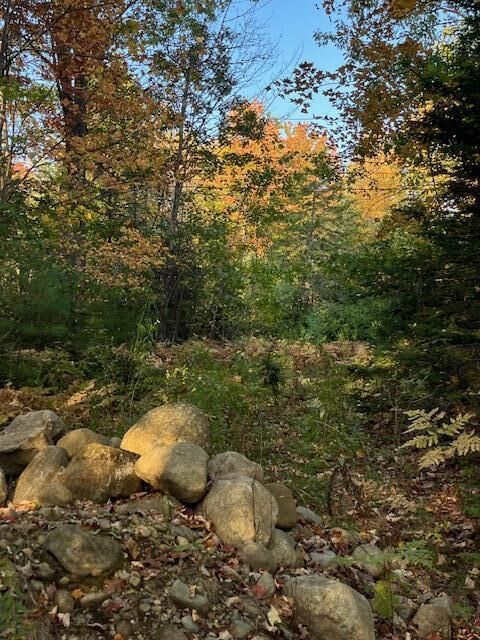 Property Photo:  Lot 22 Taylor Woods Road  ME 04217 